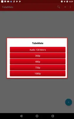 Tube Video Downloader android App screenshot 6